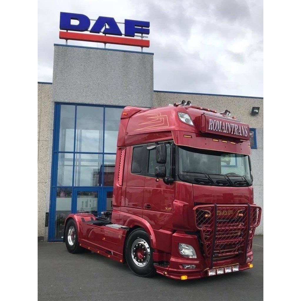 RVS Lichtbaksteunen voor DAF Super Space Cab