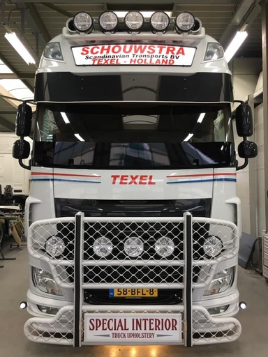 [TS7810818] Screen Guard 25cm for DAF