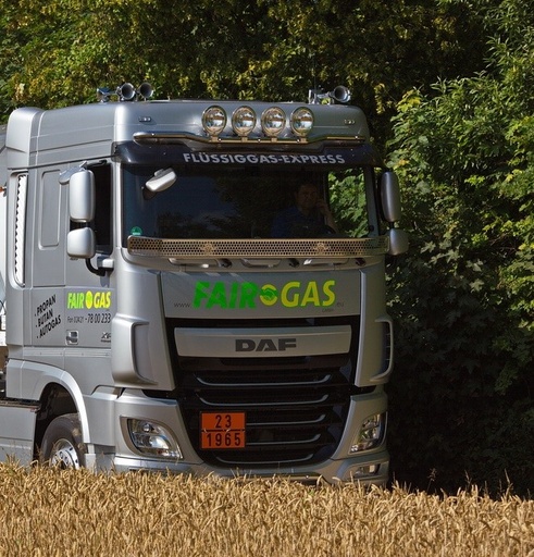 [32143004-DAF] Steenvanger RVS voor Daf