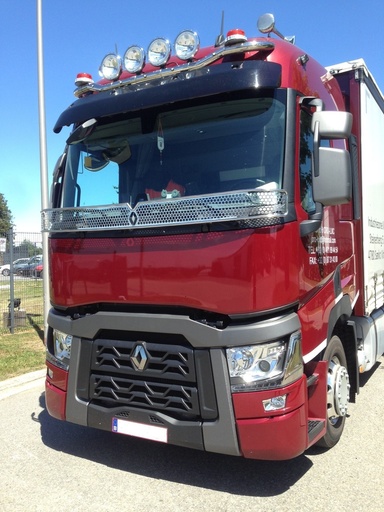 [TS7811006] Steenvanger renault T